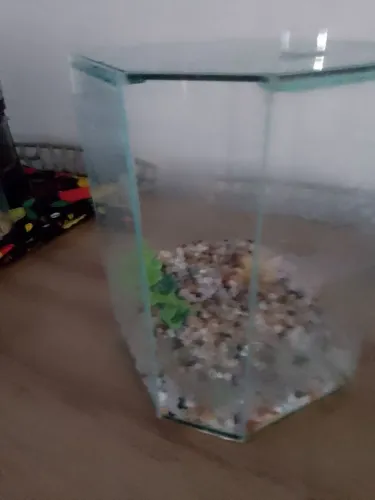 Aquário 5lts lindo, sextavado