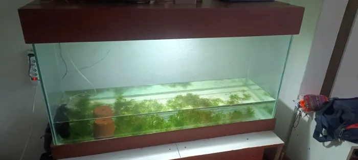 Aquário 250L (120x70x35) todo travado + móvel de compensado naval e maçaranduba