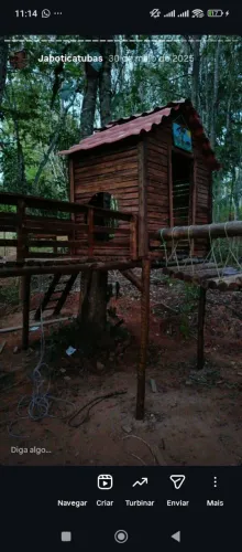 Casinha feita em volta da árvore com playground embutido completo