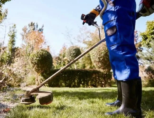 VAGA - JARDINEIRO / SERVIÇOS GERAIS (CLT) 