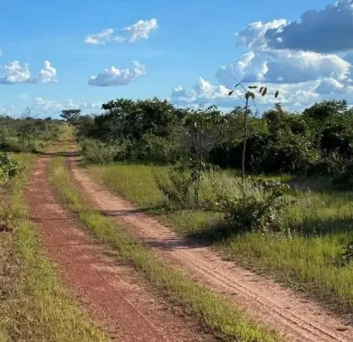 Fazenda 215,5 Alqueires (1.043 Hectares) Guarai - TO