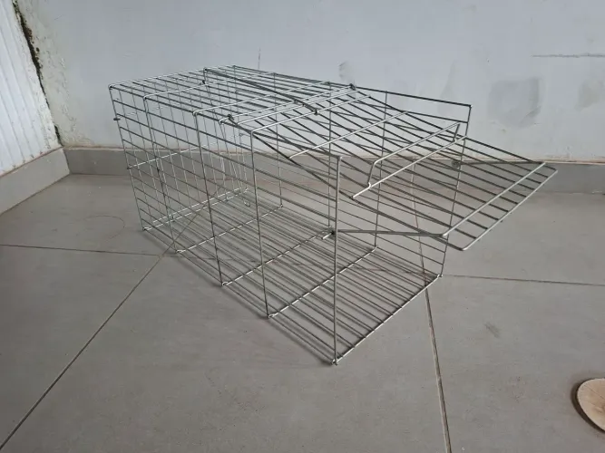 Gatoeira