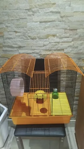 Gaiola Para Hamster E Roedores Completa 50x45cm - Ótimo Estado