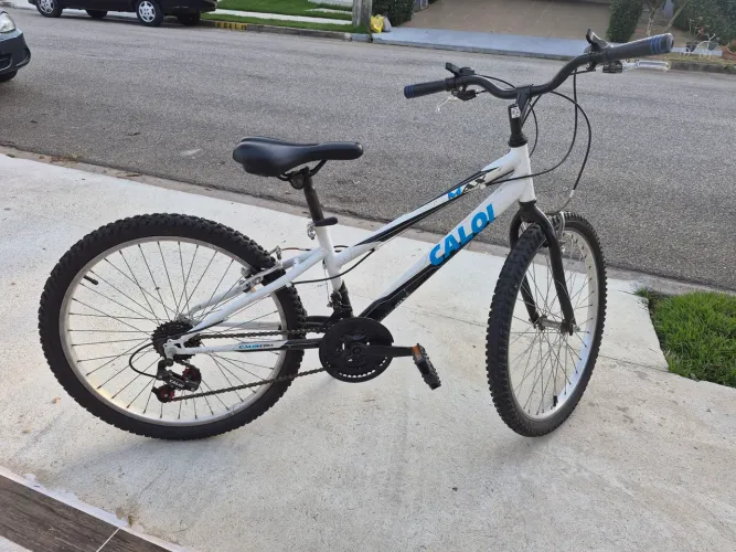 Bicicleta Infantil ARO 24