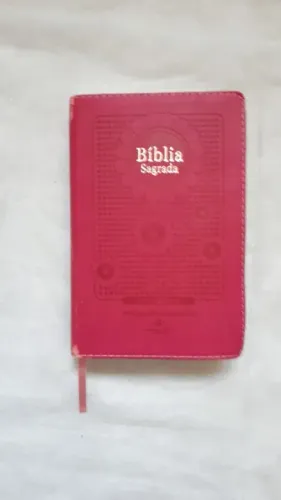 Bíblia Sagrada Ntlh Rosa Pink Luxo - Letra Gigante