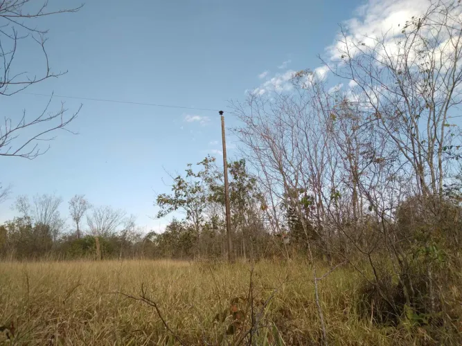  CHÁCARA 2.5 HA TERENOS 