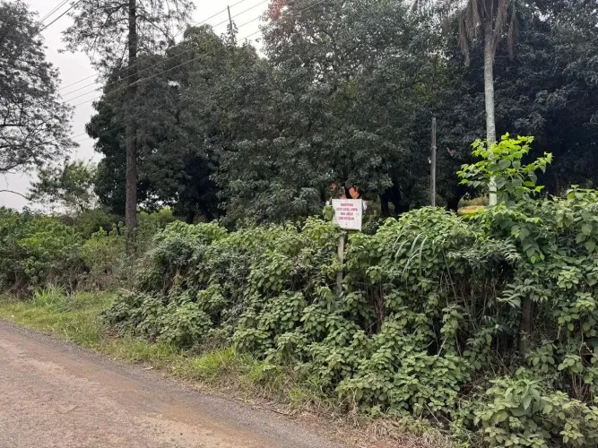 Chácara para Venda em Londrina, Parque Presidente Vargas