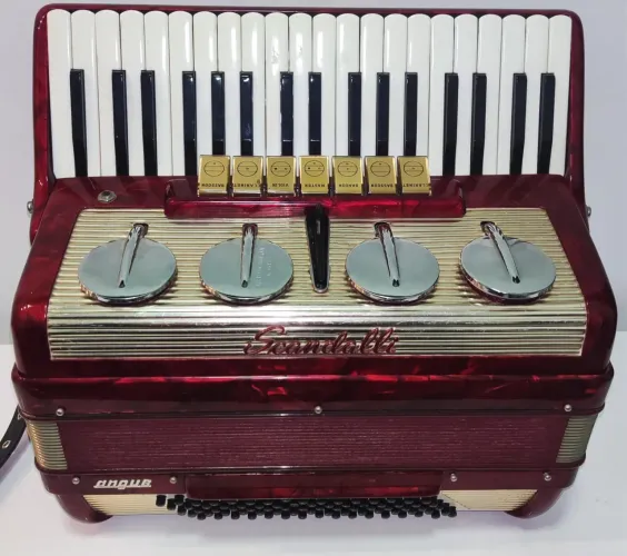 Sanfona / Acordeon de vários modelos a partir de 6500