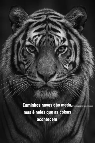 Programador profissional