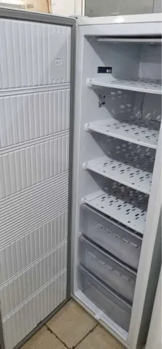 Freezer Vertical Electrolux