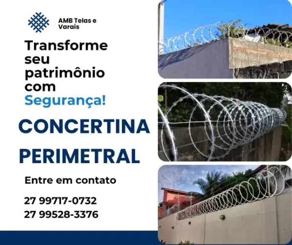 Concertina perimetral clipada