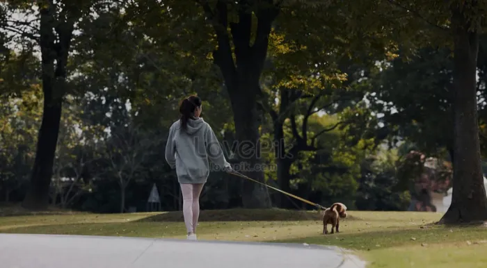 Dog Walker- Passeio com o seu Pet para você.
