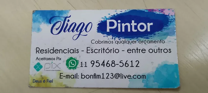 Pintor Profissional