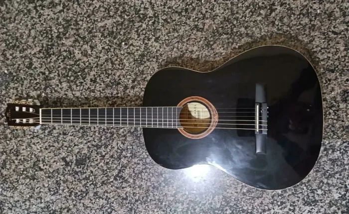 Violão Clássico Michael Go Play VM15NY