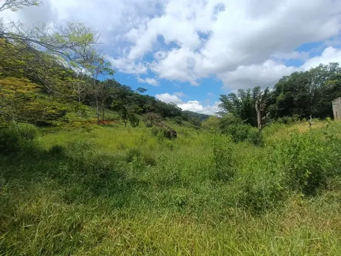 Sítio venda em Dscoberto MG. 7 hectares e meio