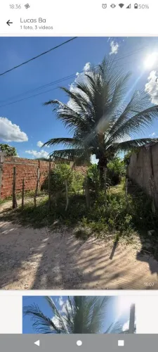 Vendo terreno em Alagoinhas Ba .. ( dispenso curiosos )