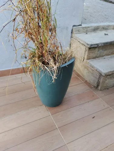 Vasos de plantas