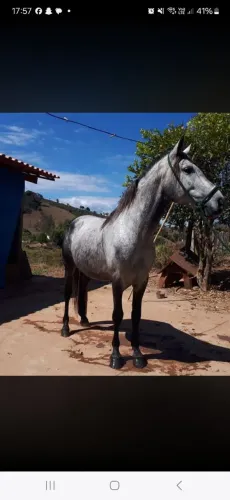 Procuro para eu alugar casa ou sítio para eu morar