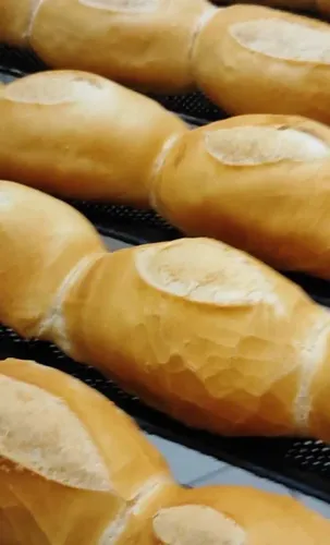 Pão e Salgados congelados