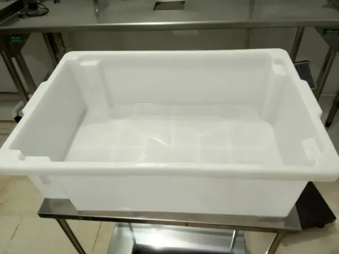 Bandeja Açougue Caixa Frigorifica Carnes Aves Branca 45 lt