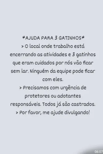 Gatos castrados para doação Ribeirão Preto