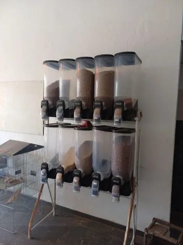 Dispenser expositor de ração