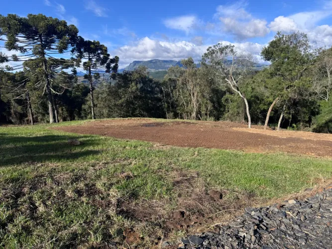 Oportunidade Única! Sítio 2 Hectares, 2km do centro.