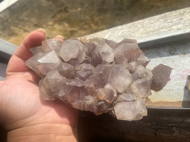 Drusa de ametista (lilas,roxa)