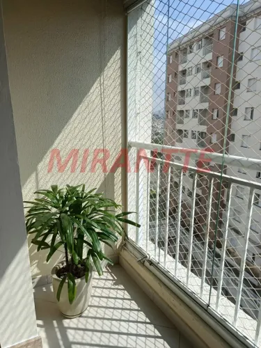 Apartamento para venda com 46 m² com 2 quartos em Sítio do Mandaqui - São Paulo