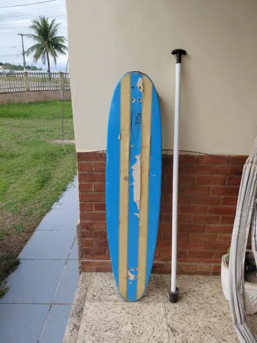 Longboar skate