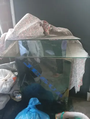 Vendo pubito 