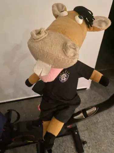 Mascote cavalinho clube do remo
