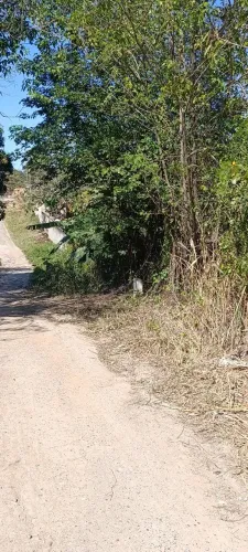 Terreno Frente de Rua principal em Fazenda Caxias