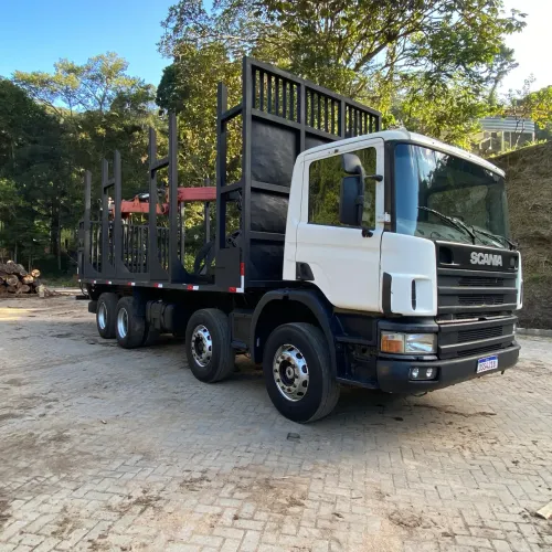 SCANIA/P124CB8X4NZ 420 2005/2006