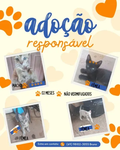 Adoção Responsável