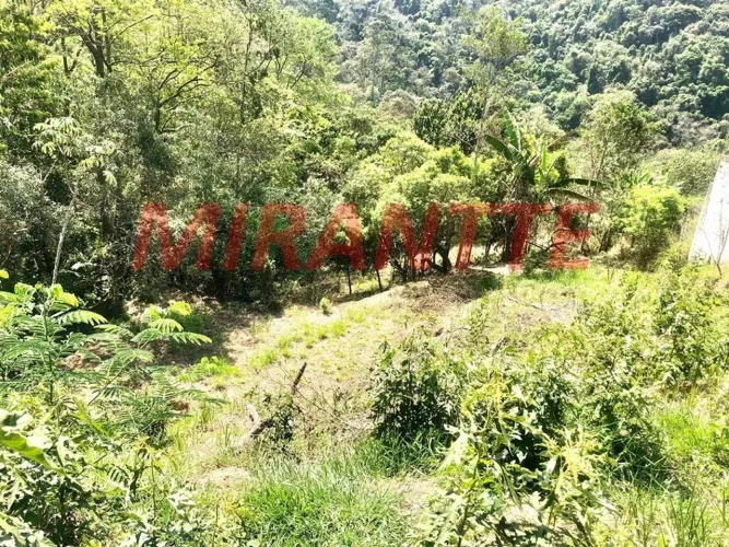 Terreno em São Vicente