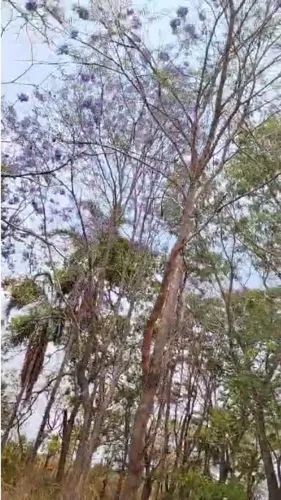  Lote escriturado em Caldas Novas 360m2