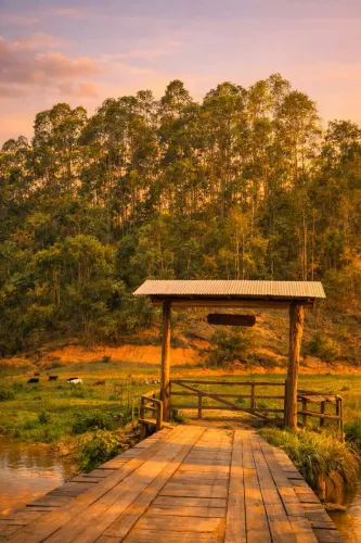 Promoção, OPORTUNIDADE TIJUCO PRETO, DOMINGOS MARTINS, 5.000M2, R$ 50 mil, troco, parcelo