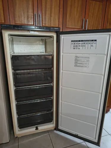 Freezer vertical