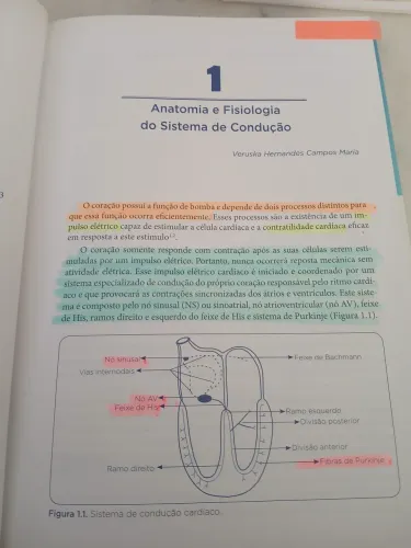 Eletrocardiograma para Enfermeiros