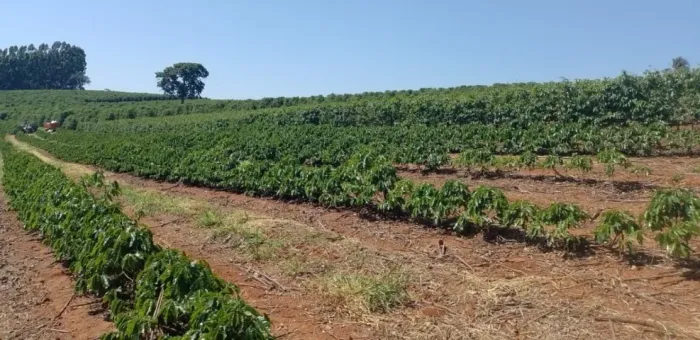 Excelente Fazenda com 42,35 Hectares em na região de Botelhos - Sul de Minas Gerais