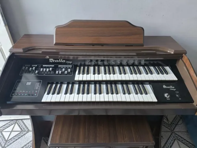 Órgão eletrônico ( desapego )
