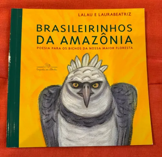 livro brasileirinhos da amazônia lalau e laurabeatriz