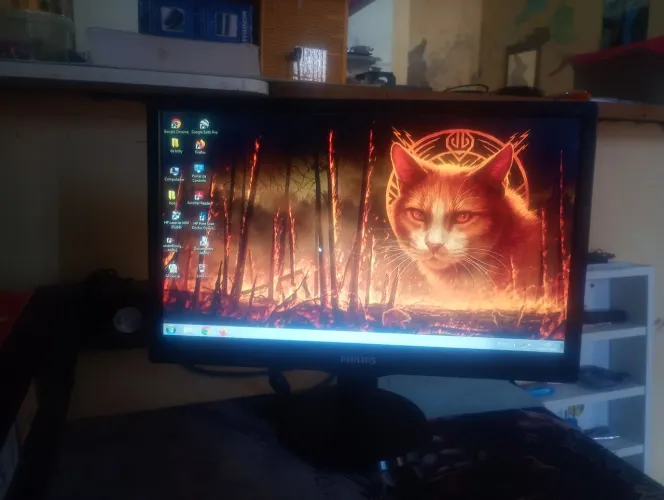 Monitor Philips 163V 16 polegadas