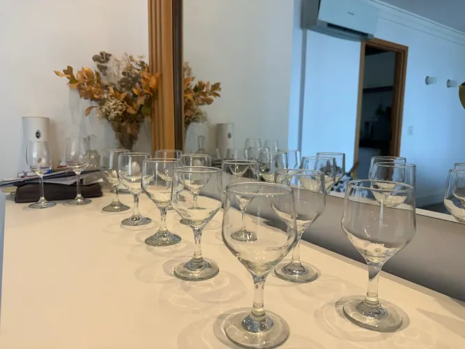 Kit 10 taças de vinho