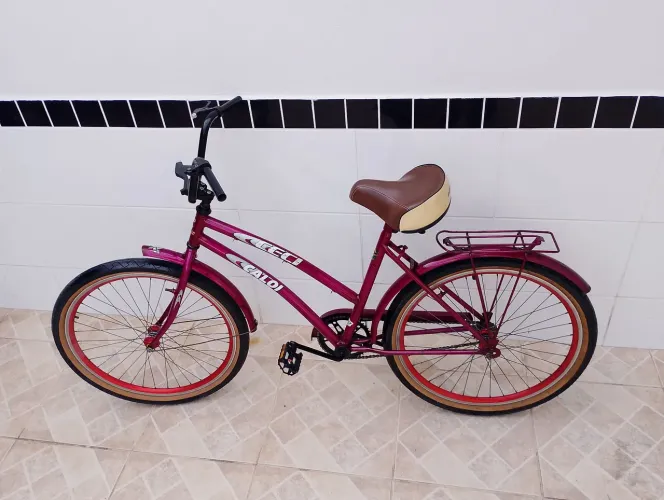 Bicicleta