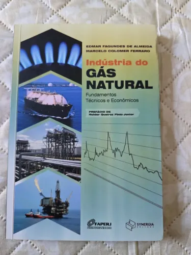 Indústria do gás natural: fundamentos técnicos e econômicos