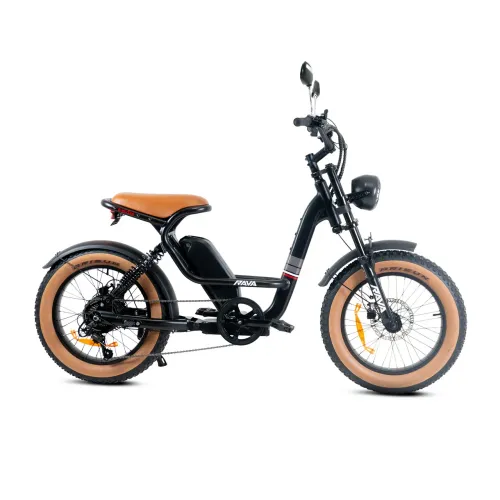 Bicicleta eletrica E-Cruiser