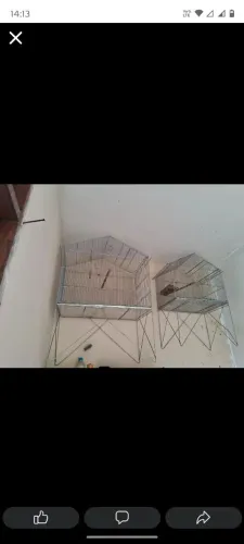 Gaiolas