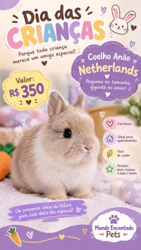 Coelho Anão Netherlands